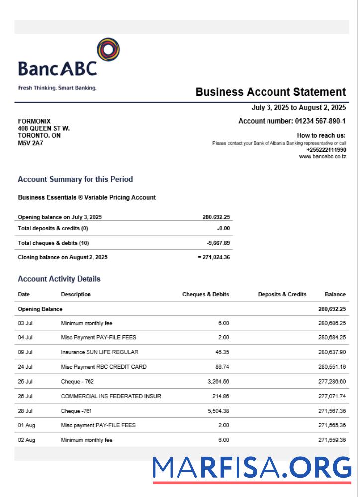 Printable Tanzania BancABC organization statement Word and PDF template